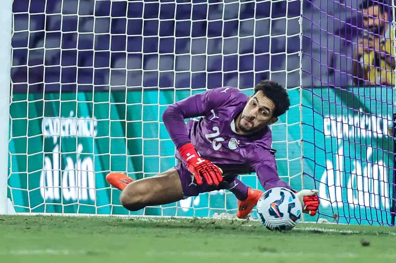 مصطفى شوبير